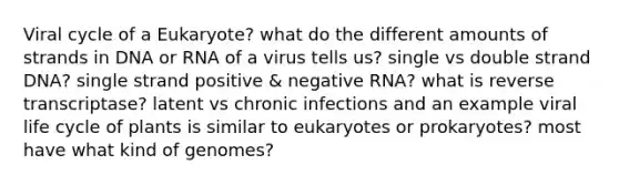 Viral cycle of a Eukaryote? what do the different amounts of strands in DNA or RNA of a virus tells us? single vs double strand DNA? single strand positive & negative RNA? what is reverse transcriptase? latent vs chronic infections and an example viral life cycle of plants is similar to eukaryotes or prokaryotes? most have what kind of genomes?