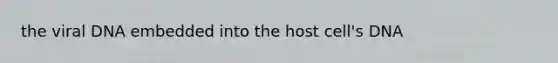 the viral DNA embedded into the host cell's DNA