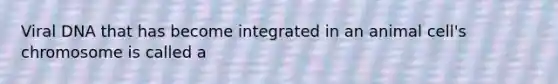 Viral DNA that has become integrated in an animal cell's chromosome is called a