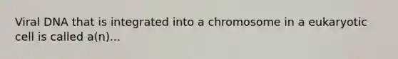 Viral DNA that is integrated into a chromosome in a eukaryotic cell is called a(n)...