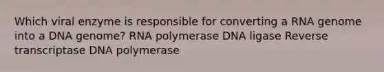 Which viral enzyme is responsible for converting a RNA genome into a DNA genome? RNA polymerase DNA ligase Reverse transcriptase DNA polymerase