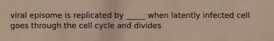 viral episome is replicated by _____ when latently infected cell goes through the cell cycle and divides