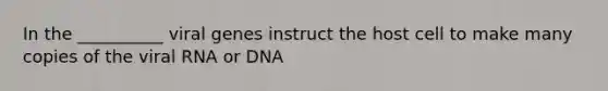 In the __________ viral genes instruct the host cell to make many copies of the viral RNA or DNA