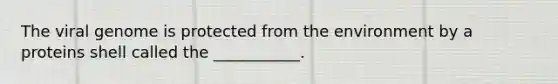The viral genome is protected from the environment by a proteins shell called the ___________.