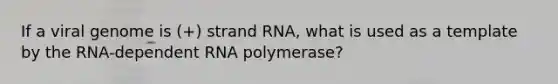 If a viral genome is (+) strand RNA, what is used as a template by the RNA-dependent RNA polymerase?