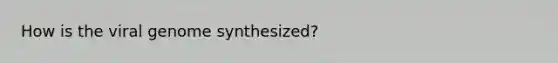 How is the viral genome synthesized?