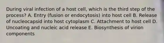 During viral infection of a host cell, which is the third step of the process? A. Entry (fusion or endocytosis) into host cell B. Release of nucleocapsid into host cytoplasm C. Attachment to host cell D. Uncoating and nucleic acid release E. Biosynthesis of virion components