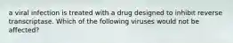 a viral infection is treated with a drug designed to inhibit reverse transcriptase. Which of the following viruses would not be affected?