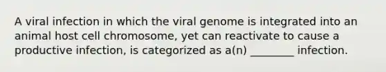 A viral infection in which the viral genome is integrated into an animal host cell chromosome, yet can reactivate to cause a productive infection, is categorized as a(n) ________ infection.