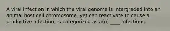 A viral infection in which the viral genome is intergraded into an animal host cell chromosome, yet can reactivate to cause a productive infection, is categorized as a(n) ____ infectious.