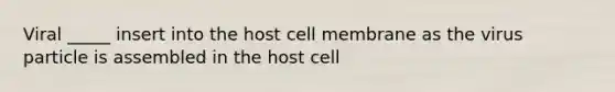 Viral _____ insert into the host cell membrane as the virus particle is assembled in the host cell