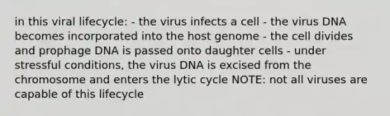 in this viral lifecycle: - the virus infects a cell - the virus DNA becomes incorporated into the host genome - the cell divides and prophage DNA is passed onto daughter cells - under stressful conditions, the virus DNA is excised from the chromosome and enters the lytic cycle NOTE: not all viruses are capable of this lifecycle