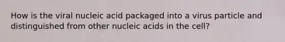 How is the viral nucleic acid packaged into a virus particle and distinguished from other nucleic acids in the cell?