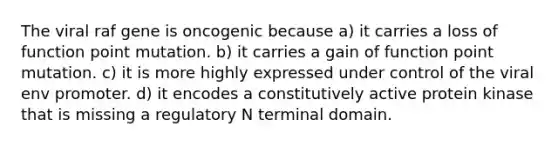 The viral raf gene is oncogenic because a) it carries a loss of function point mutation. b) it carries a gain of function point mutation. c) it is more highly expressed under control of the viral env promoter. d) it encodes a constitutively active protein kinase that is missing a regulatory N terminal domain.