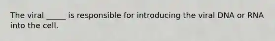 The viral _____ is responsible for introducing the viral DNA or RNA into the cell.