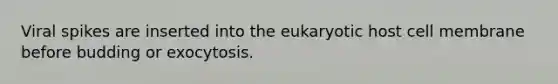 Viral spikes are inserted into the eukaryotic host cell membrane before budding or exocytosis.