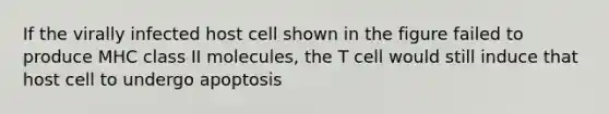 If the virally infected host cell shown in the figure failed to produce MHC class II molecules, the T cell would still induce that host cell to undergo apoptosis