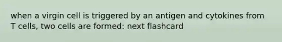 when a virgin cell is triggered by an antigen and cytokines from T cells, two cells are formed: next flashcard