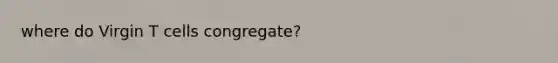 where do Virgin T cells congregate?