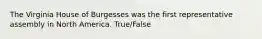 The Virginia House of Burgesses was the first representative assembly in North America. True/False