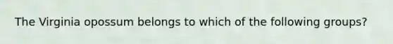 The Virginia opossum belongs to which of the following groups?