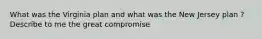 What was the Virginia plan and what was the New Jersey plan ?Describe to me the great compromise