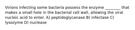 Virions infecting some bacteria possess the enzyme ________ that makes a small hole in the bacterial cell wall, allowing the viral nucleic acid to enter. A) peptidoglycanase B) infectase C) lysozyme D) nuclease