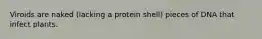 Viroids are naked (lacking a protein shell) pieces of DNA that infect plants.