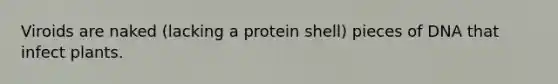 Viroids are naked (lacking a protein shell) pieces of DNA that infect plants.