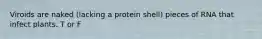 Viroids are naked (lacking a protein shell) pieces of RNA that infect plants. T or F