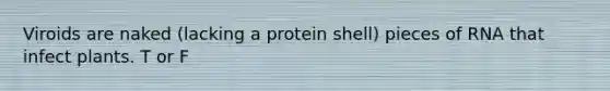 Viroids are naked (lacking a protein shell) pieces of RNA that infect plants. T or F