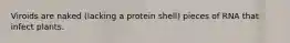 Viroids are naked (lacking a protein shell) pieces of RNA that infect plants.