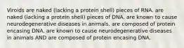 Viroids are naked (lacking a protein shell) pieces of RNA. are naked (lacking a protein shell) pieces of DNA. are known to cause neurodegenerative diseases in animals. are composed of protein encasing DNA. are known to cause neurodegenerative diseases in animals AND are composed of protein encasing DNA.