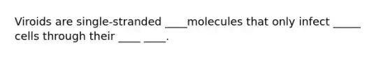 Viroids are single-stranded ____molecules that only infect _____ cells through their ____ ____.