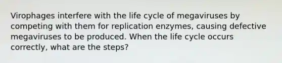 Virophages interfere with the life cycle of megaviruses by competing with them for replication enzymes, causing defective megaviruses to be produced. When the life cycle occurs correctly, what are the steps?