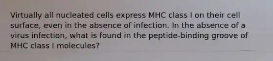 Virtually all nucleated cells express MHC class I on their cell surface, even in the absence of infection. In the absence of a virus infection, what is found in the peptide-binding groove of MHC class I molecules?