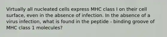 Virtually all nucleated cells express MHC class I on their cell surface, even in the absence of infection. In the absence of a virus infection, what is found in the peptide - binding groove of MHC class 1 molecules?