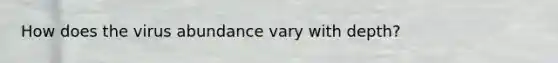 How does the virus abundance vary with depth?
