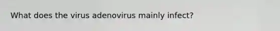 What does the virus adenovirus mainly infect?