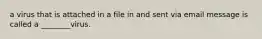 a virus that is attached in a file in and sent via email message is called a ________virus.