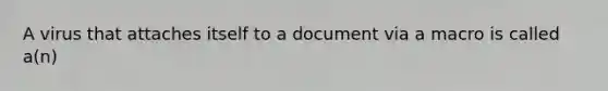 A virus that attaches itself to a document via a macro is called a(n)