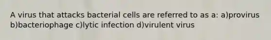 A virus that attacks bacterial cells are referred to as a: a)provirus b)bacteriophage c)lytic infection d)virulent virus