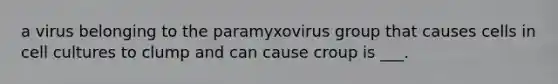 a virus belonging to the paramyxovirus group that causes cells in cell cultures to clump and can cause croup is ___.