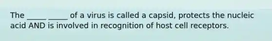 The _____ _____ of a virus is called a capsid, protects the nucleic acid AND is involved in recognition of host cell receptors.