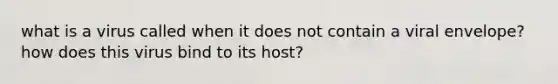 what is a virus called when it does not contain a viral envelope? how does this virus bind to its host?