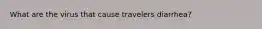 What are the virus that cause travelers diarrhea?