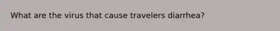 What are the virus that cause travelers diarrhea?