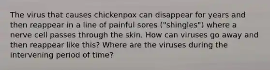 The virus that causes chickenpox can disappear for years and then reappear in a line of painful sores ("shingles") where a nerve cell passes through the skin. How can viruses go away and then reappear like this? Where are the viruses during the intervening period of time?