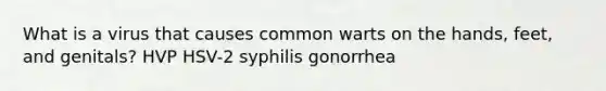 What is a virus that causes common warts on the hands, feet, and genitals? HVP HSV-2 syphilis gonorrhea