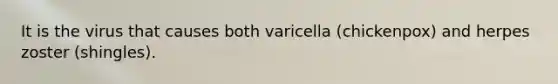 It is the virus that causes both varicella (chickenpox) and herpes zoster (shingles).